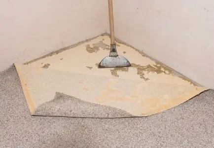 Carpet Mould Removal & Restoration