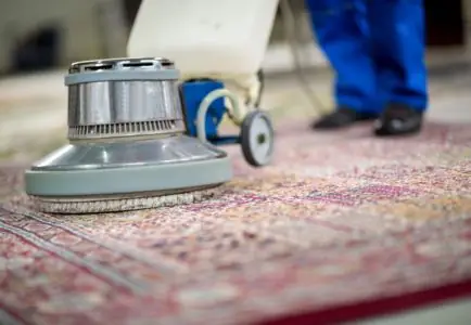 🧽 Deep Rug Cleaning & Fibre Wash