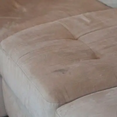 🐾 Pet Odour & Stain Removal for Couches