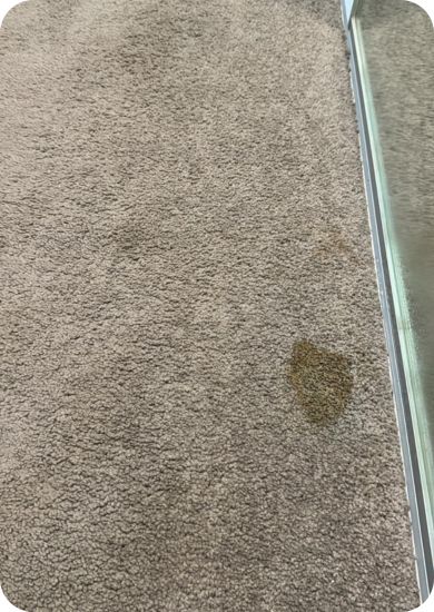 Choice Cleaning Services